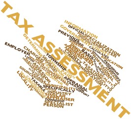Word cloud for Tax assessment