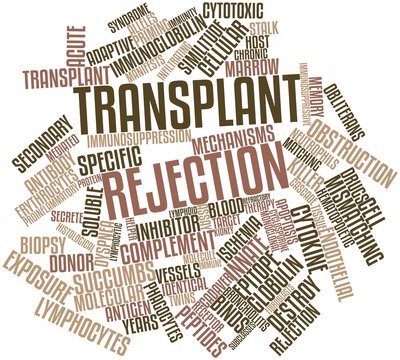 Word Cloud For Transplant Rejection