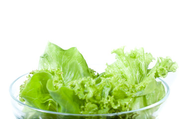 Green Salad