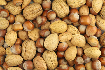 Assortment of nuts in shells
