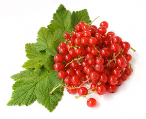 redcurrant