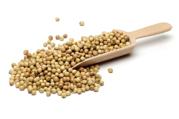 Coriander seeds isolated on white