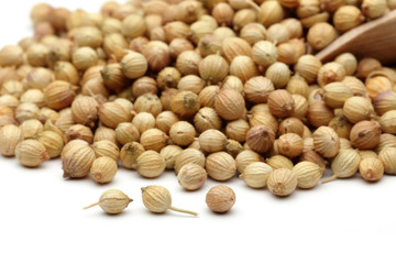 Coriander seeds isolated on white