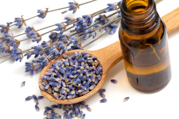 Dried lavender with a bottle of essential oil over white