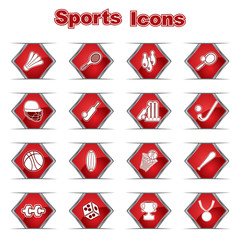 Set of Sports Icons