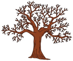 Tree without leaves