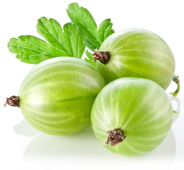 Gooseberries with leaves
