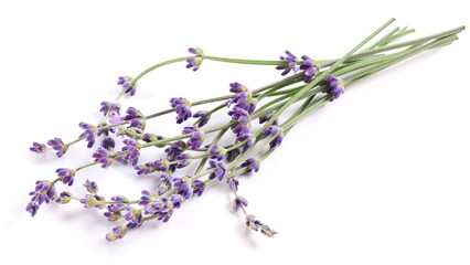Naklejka premium Bunch of lavender.