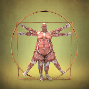Anatom&iacute;a de Hombre Obeso de Vitruvio