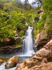 Rainforest waterfall New Zealand