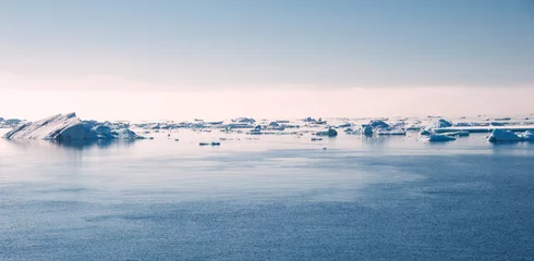 Poster Antarctische oceaan op de zon © Asya M