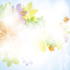 Colorful summer spring background with flowers