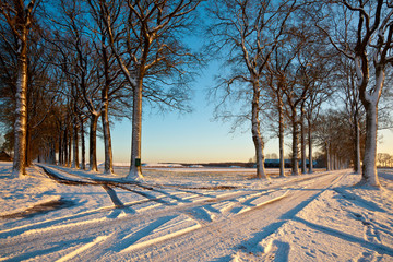 Crossroads of Snowy lanes