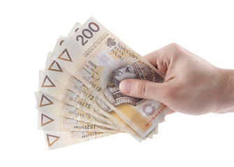 Polish money in hand. Clipping path included.