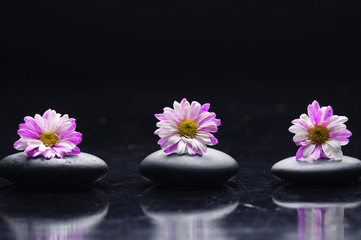 Obraz na płótnie Canvas Set of Three pink gerbera on zen stones reflection