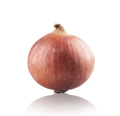 Onion fresh vegetable