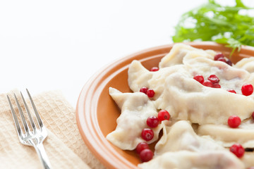 dumplings with sweet and sour berries