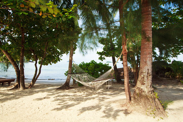 Гамак среди тропических деревьев на берегу моря.