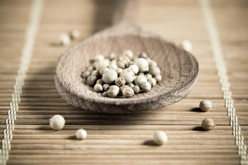 Coriander