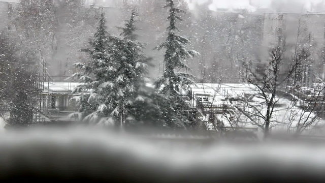 snow blizzard