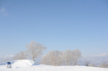Obraz premium White winter landscape with a snow-covered tree