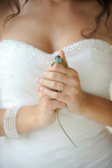 Bride with Lizard