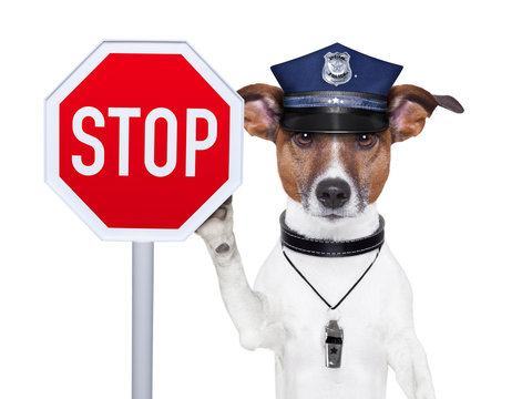 police dog