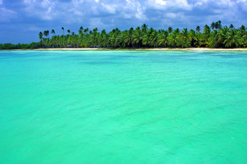 coastline  in  republica dominicana