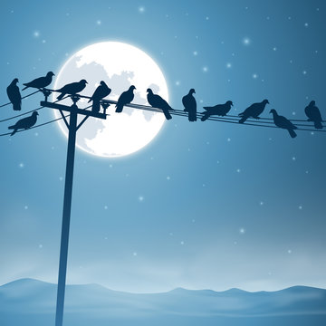 Lots of Birds on Telephone Lines with Night Sky and Moon