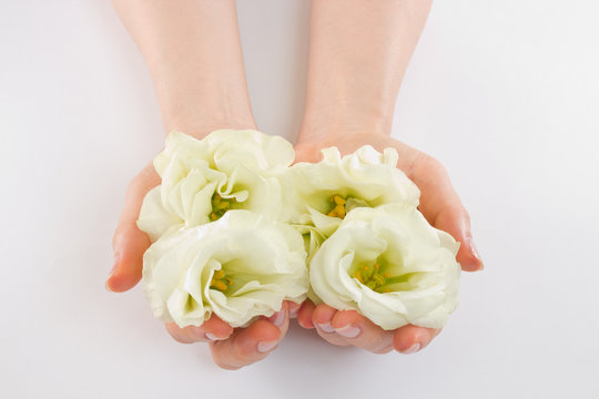 女性の手と白い花