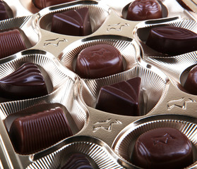 chocolate gathering