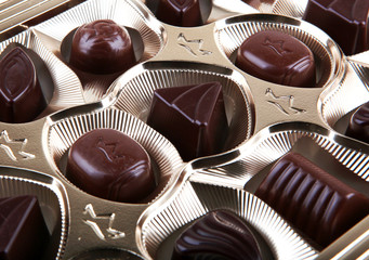 chocolate gathering