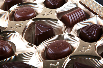 chocolate gathering