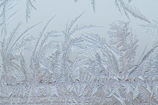 Eisblumen 12.08