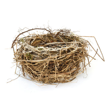 Real frosty bird nest
