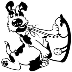 dog gnaw shoe black white