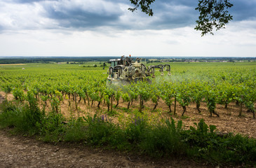 Fototapeta premium traitement chimique dans les vignes