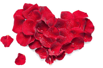 Beautiful heart of red rose petals isolated on white