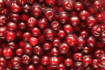 Cherries as the background, full frame