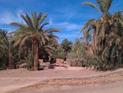 desert marocain