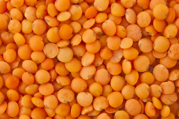 close up of red lentils
