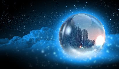 Winter christmas forest