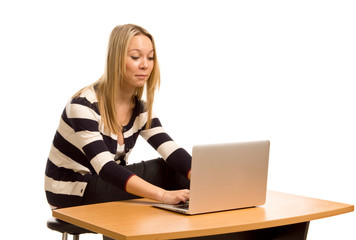 Fototapeta premium Stylish young woman working on a laptop