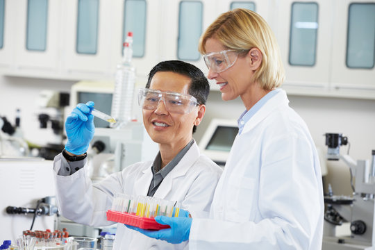 Male And Female Scientists Working In Laboratory