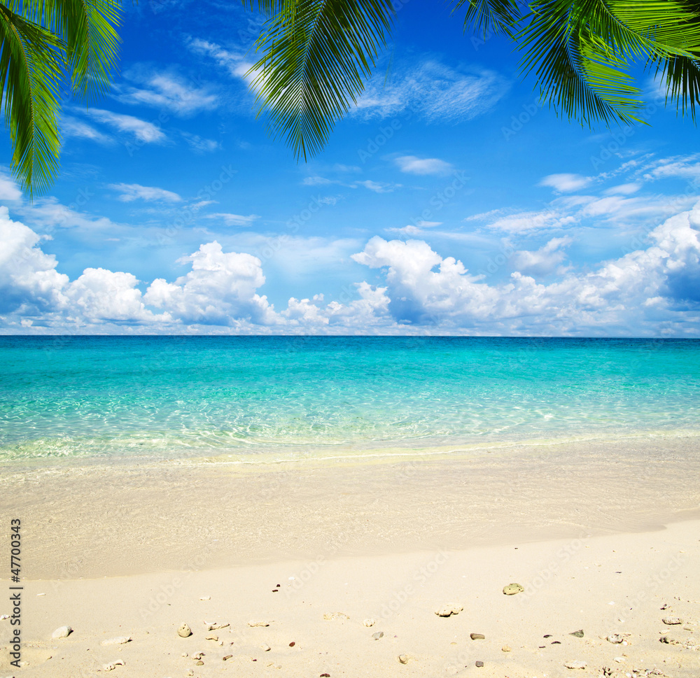 Sticker tropical landscape - beautiful beach with blue ocean and clear sky