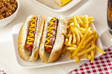 Organic All Beef Hotdog