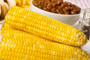 Fresh Organic Yellow Corn on the Cob