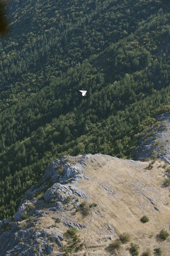 glider over the mountains