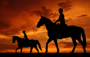 silhouette of a rider on a horse