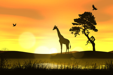 Tramonto in Africa